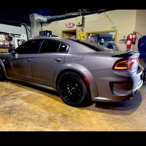 Meet your Posher, Dixie